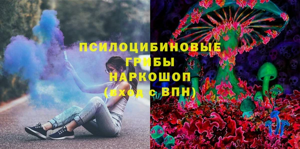 крисы Армянск